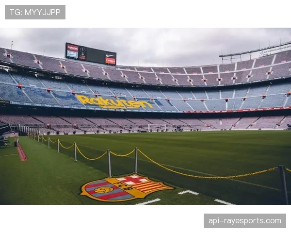 为应对极端天气,部分法甲球场将升级排水与顶棚系统 为应对极端天气,部分法甲球场将升级排水与顶棚系统